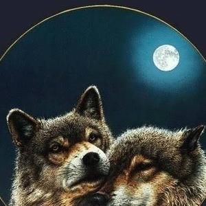 Meet your Posher, Helen